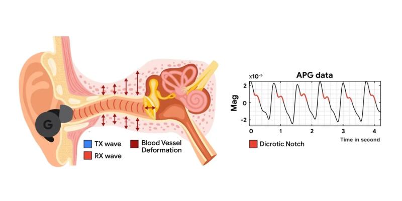 Google научилась превращать наушники в пульсометр